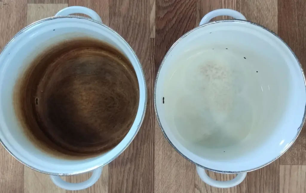 El té negro: tu arma secreta contra el sarro pegado en minutos