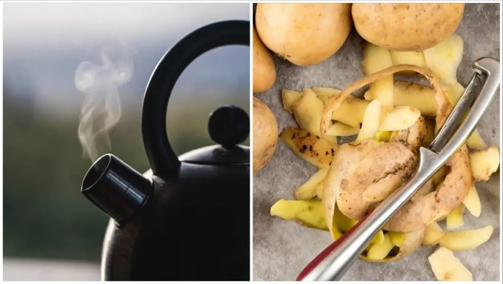 El truco casero de tu abuela para un hervidor impecable sin usar químicos