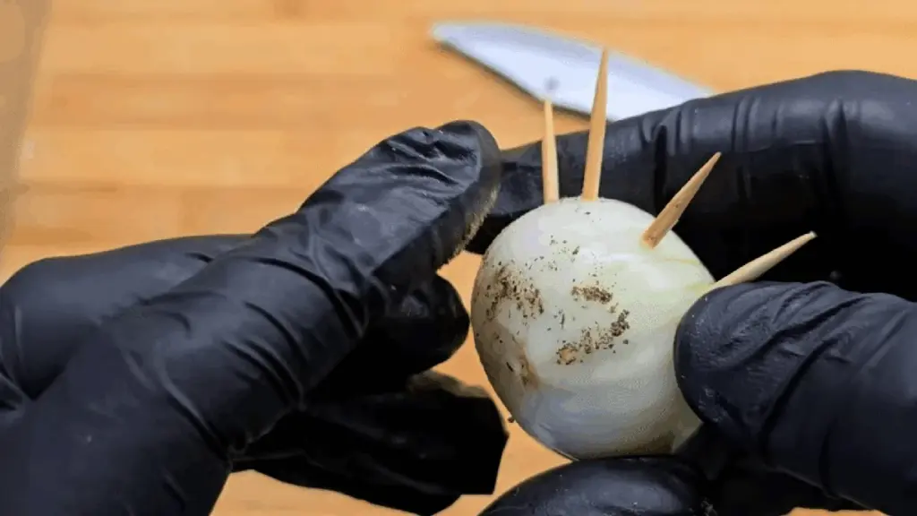 el truco de la cocina que triplica la frescura de limón, pepino y salchichas