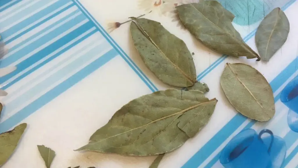 El truco de la hoja de laurel para un hogar fresco y sin plagas