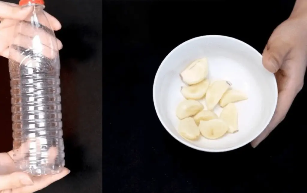 El truco secreto para picar y pelar ajos en 1 minuto sin rallador ni prensa