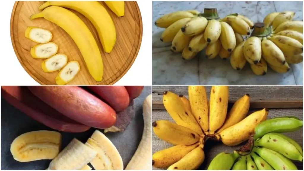 Enviaste a tu marido a por plátanos y trajo mini-plátanos: ¿La diferencia real y por qué cuestan tanto?