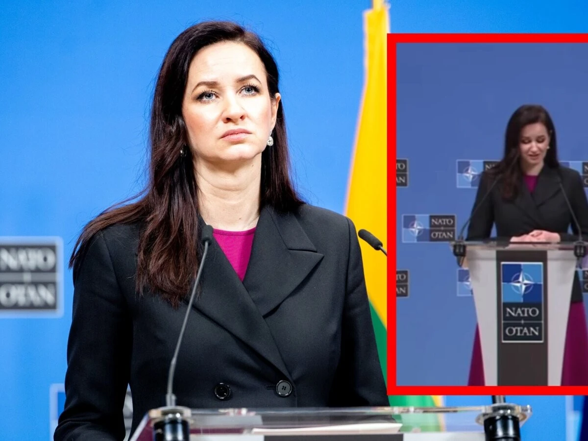 Inga Ruginienė en inglés: La reacción de su asesor a la crítica sobre su pronunciación - image 1