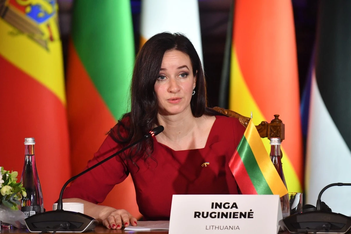 I. Ruginienė responde a Žemaitaitis: defensa aérea y polígonos, prioridades conjuntas - image 1