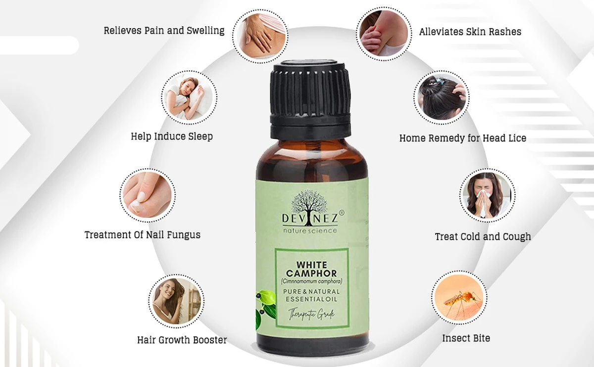 Kamparo aliejus: natūralios medicinos paslaptis ir stiprus poveikis organizmui - image 1