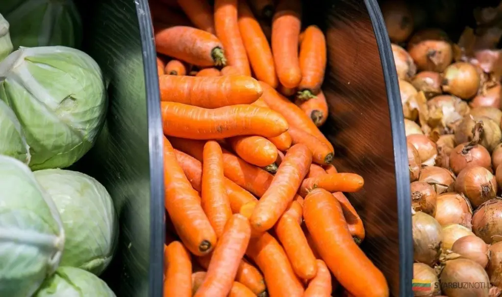 Las Verduras Más Rentables para Tu Huerto en 2026: Secretos de Agricultores y Expertos