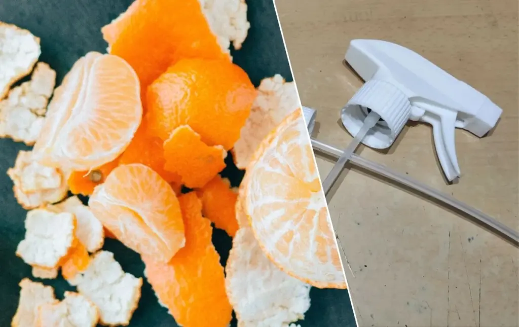 Mis cáscaras de cítricos solían ir a la basura: ahora tengo un ambientador casero que dura 2 meses