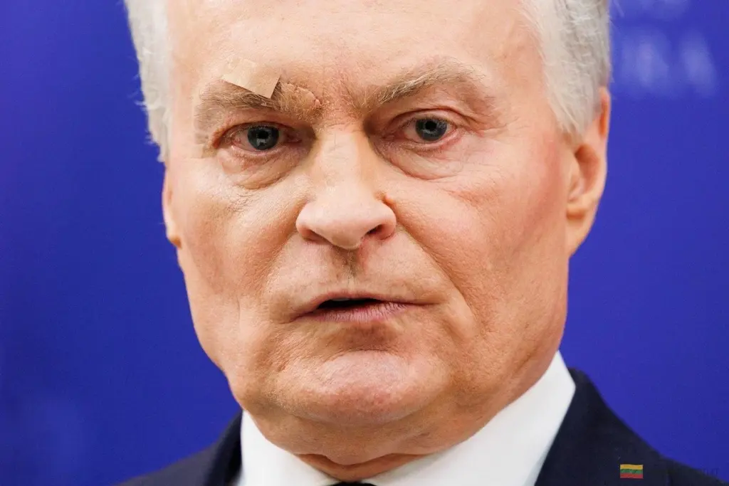 Nausėda explica los motivos detallados de la operación militar en Irán