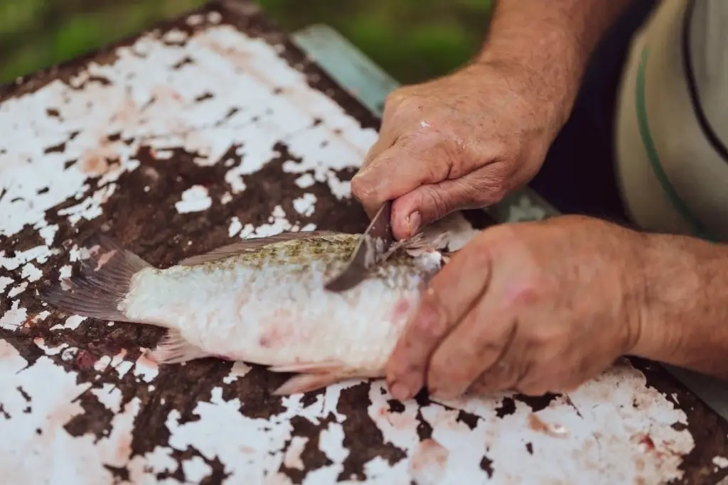 No tires el linóleo dañado: así se arregla como por arte de magia