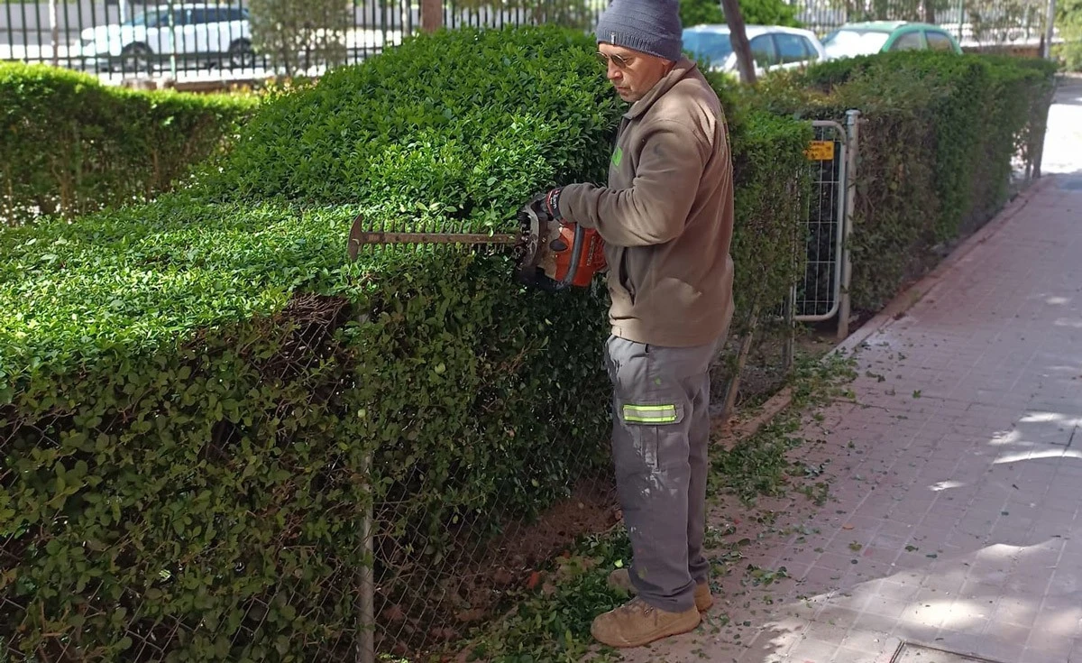 Poda radical que tus arbustos necesitan: obtén volumen y color este verano - image 1