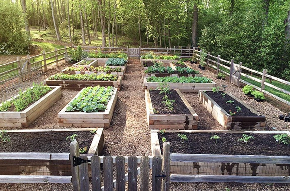 Por qué arar el huerto en primavera es un error que los expertos ya evitan - image 1