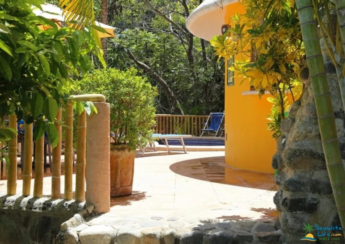 Por qué el 8 de marzo es la fecha ideal para instalar una casa de pájaros (y por qué casi todos se equivocan) - image 1