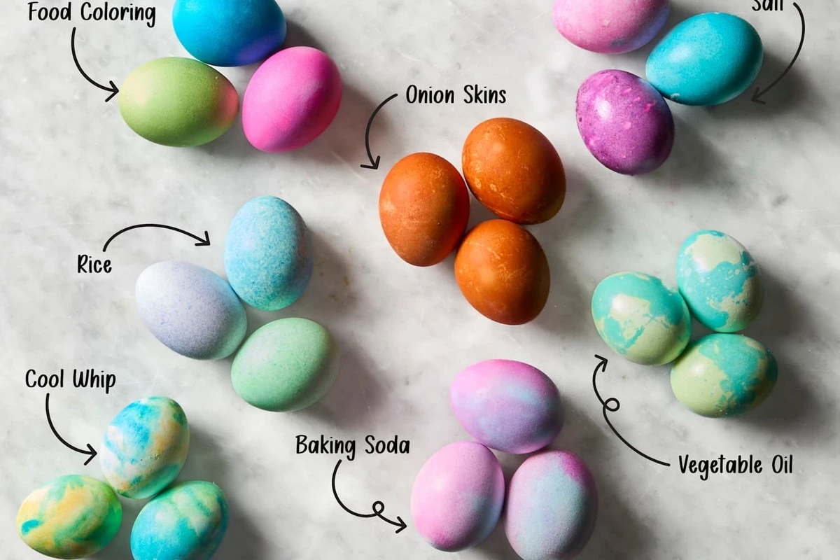 Por qué los jardineros expertos añaden esponjas al fondo de las macetas - image 1