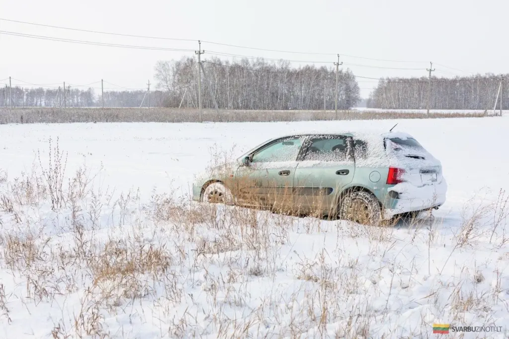 Por qué los lituanos son como el almidón y el agua: confusos al principio, héroes en apuros