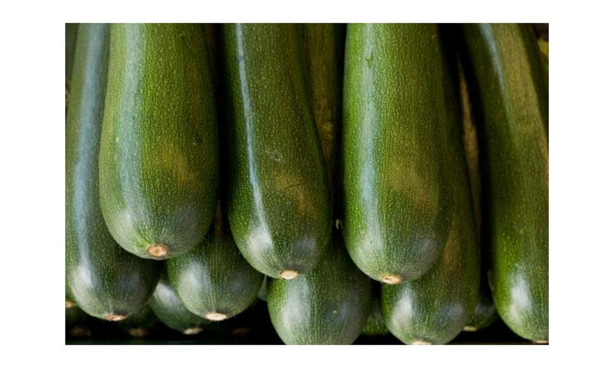 Por qué tus calabacines pequeños se ponen amarillos y se caen: el secreto que un jardinero me reveló - image 1