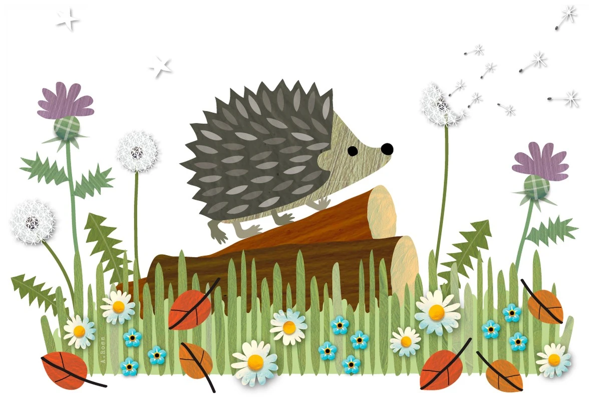 ¿Por qué ya no ves erizos en tu jardín? La razón podría ser esta costumbre tuya - image 1