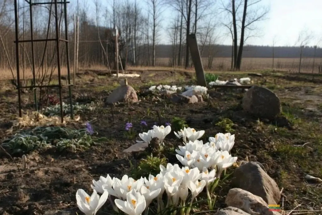 Prepara tu huerto para la temporada: trucos de jardineros expertos que te sorprenderán