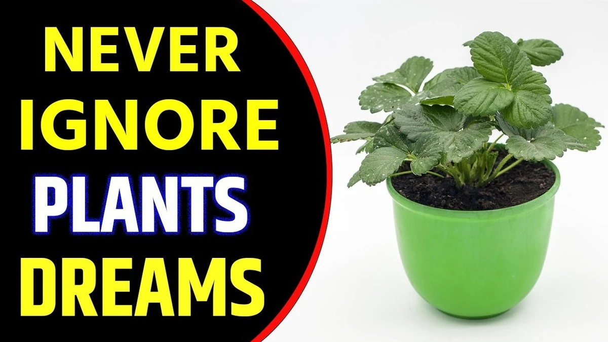 Qué significa soñar con plantar: 3 gestos que revelan tu deseo de crecer - image 1