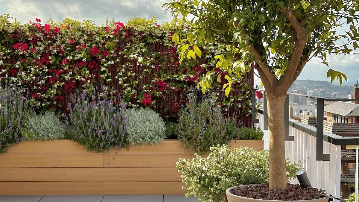 Seis arbustos que aman la poda en marzo y odian esperar más - image 1