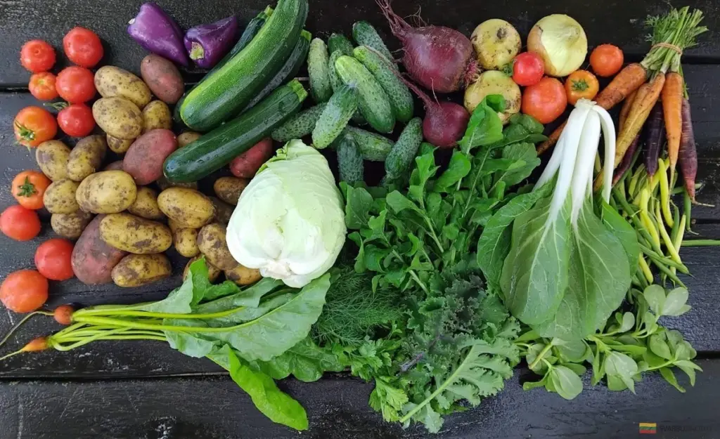 Siete secretos de jardineros expertos para cultivar verduras enormes y saludables