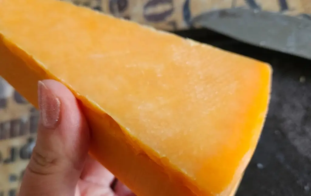 Una gota de yodo revela la verdad: cómo verificar el queso en 2 segundos