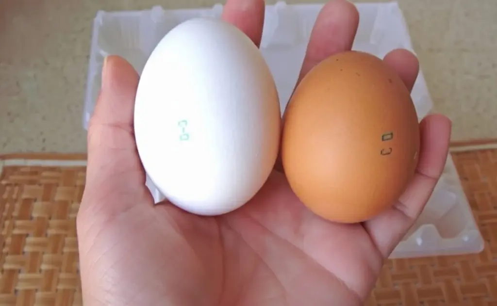 Un error que reduce la frescura de tus huevos a la mitad: cómo almacenarlos correctamente