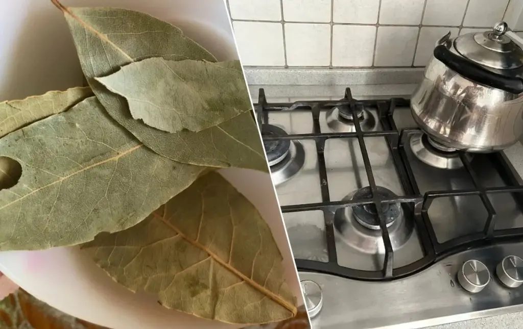 Un laurel sobre tu estufa: el truco insospechado para eliminar olores de cocina en 10 minutos