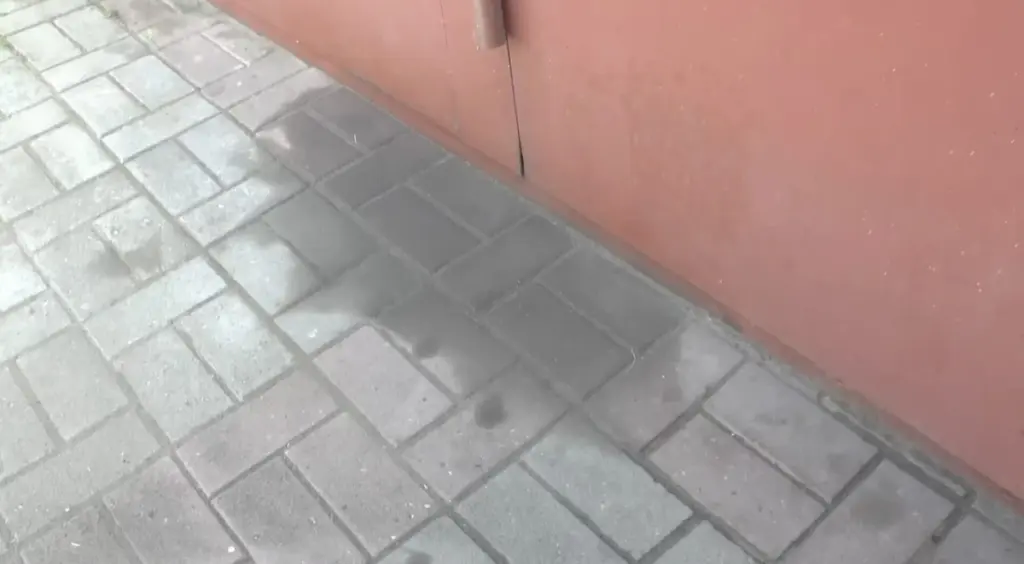 Vecino mecánico revela trucazo para eliminar manchas de gasolina de tu patio